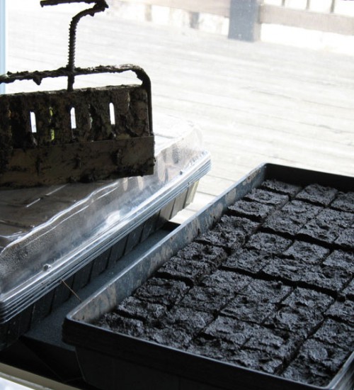 soil blocks