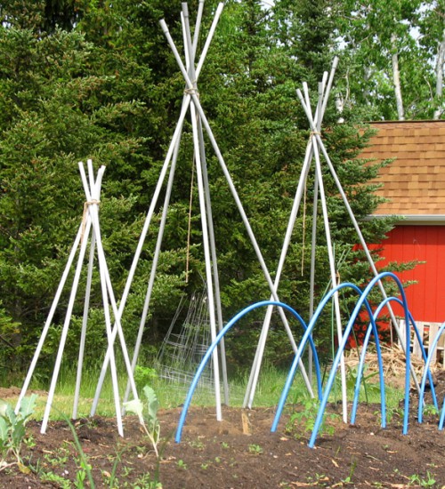 $5 Bean Teepee