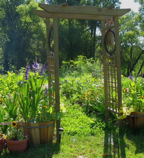 Entrance to Jessi's Garden - July 17th