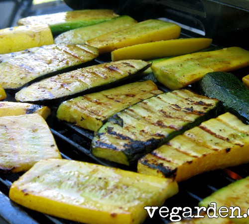 Grilling Summer Squash