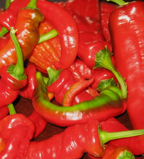 Jimmy Nardello's Sweet Italian Frying Pepper