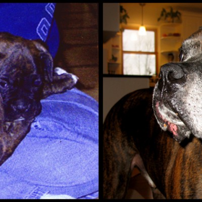 Baby picture and 9 years old