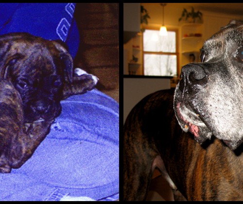 Baby picture and 9 years old