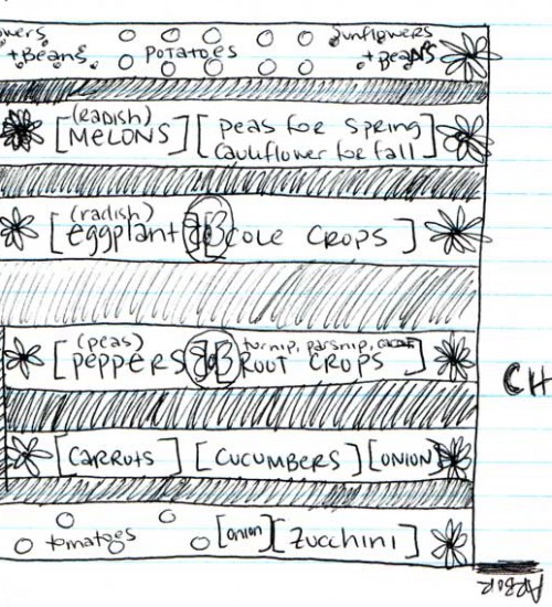 Jessi's first draft for the garden - 2011 season