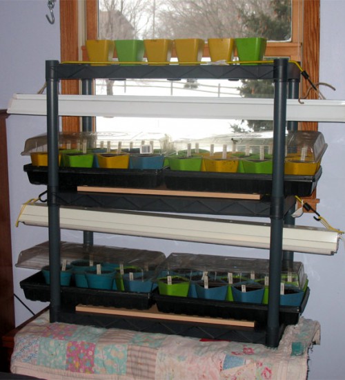 2011 Tomatoes and Peppers