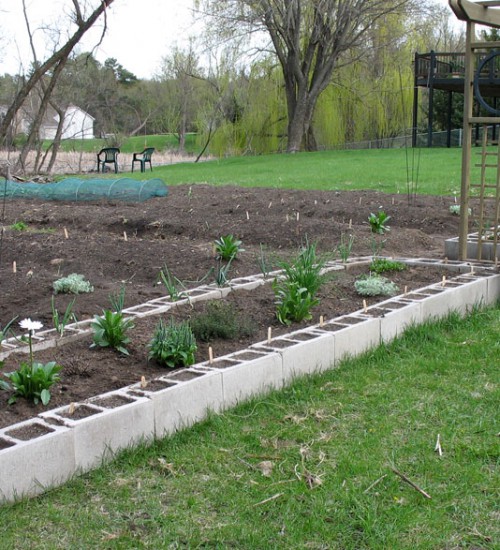 Jessi's garden, and raised beds