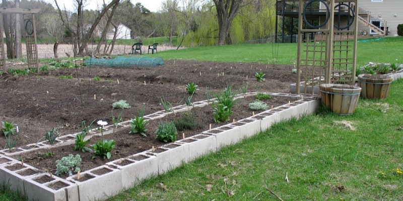 Jessi's garden, and raised beds