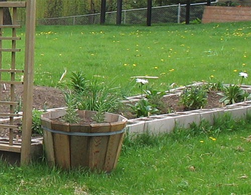 Enjoying the garden