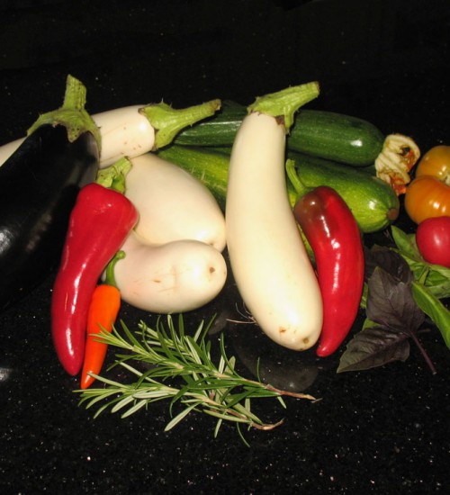 July 28th - Eggplant, Peppers, Zucchini, and a few small tomatoes