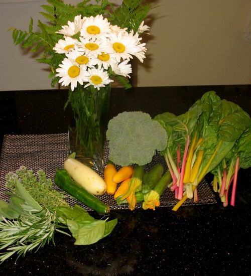 Herbs, small zucchinis, chard, broccoli, a white eggplant, green pepper, and daisies