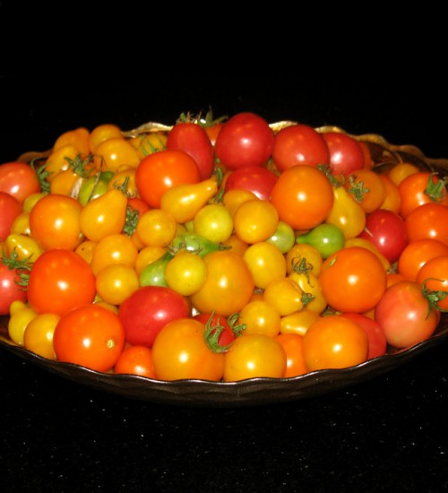 Cherry Tomatoes