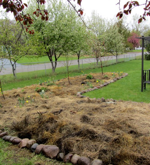 Apple Guild - After