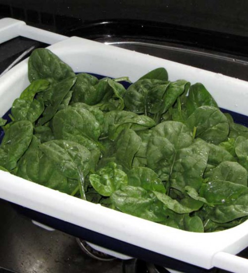 Baby Spinach