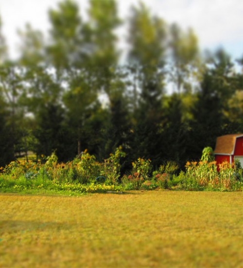 VEGarden in miniature