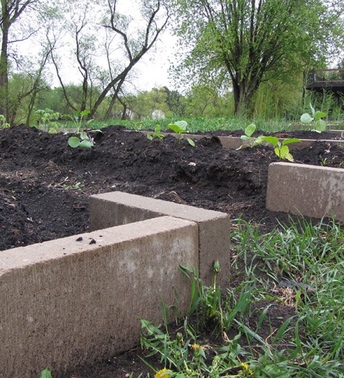 Concrete Block Garden Beds started