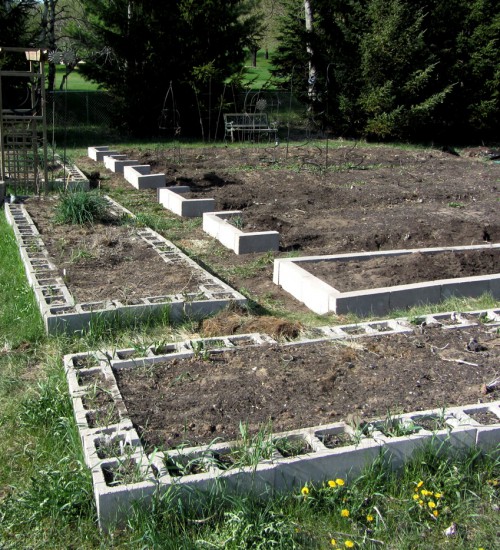 Cement Block Raised Beds