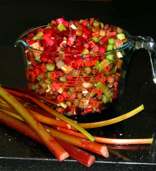 Rhubarb
